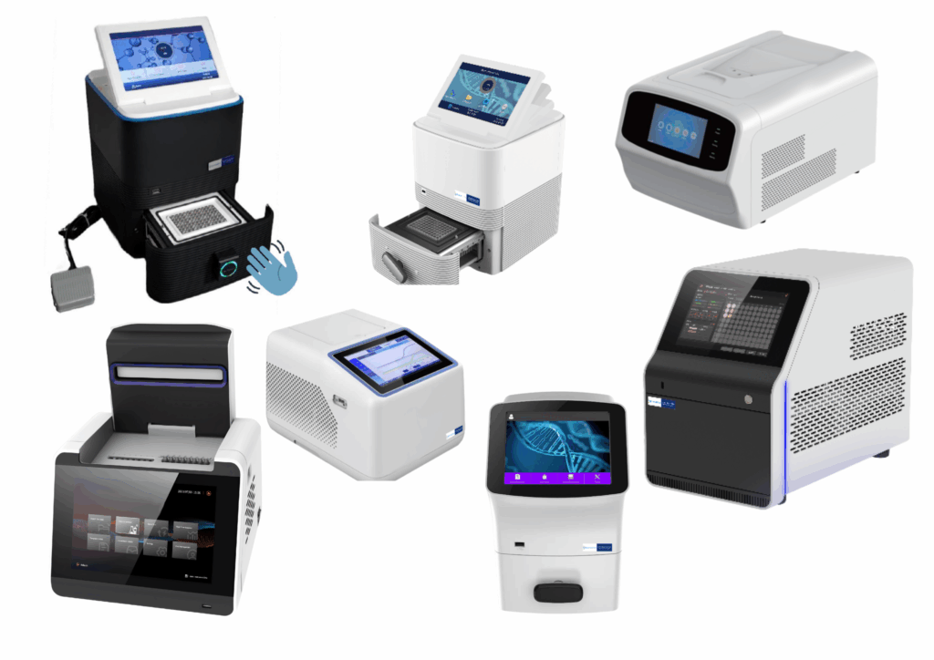 Real-Time PCR