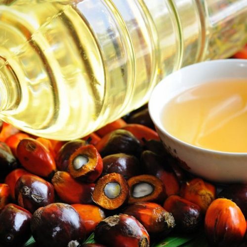 Vegetable & Palm Oil Vegetable & Palm Oil